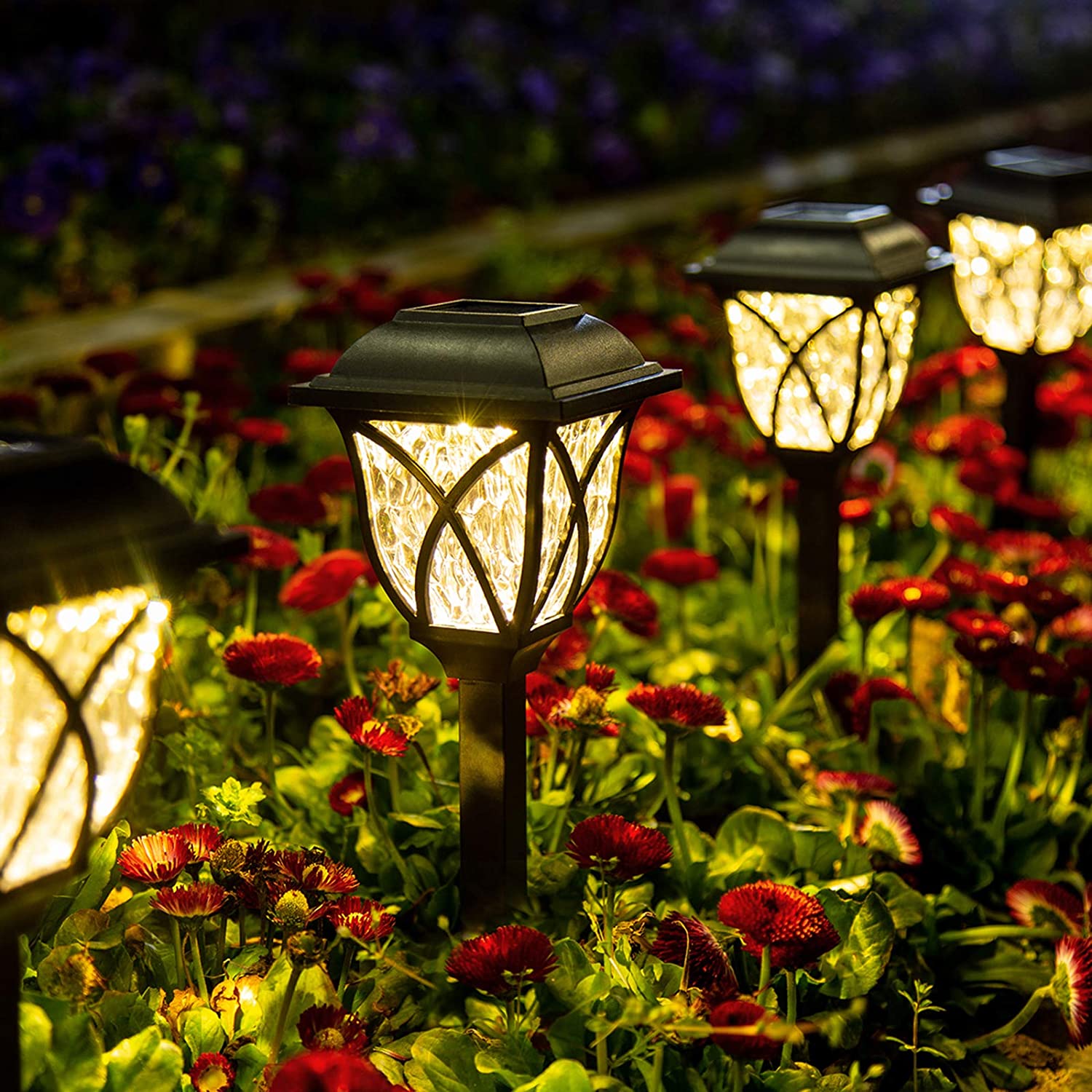 Garden Solar Lights