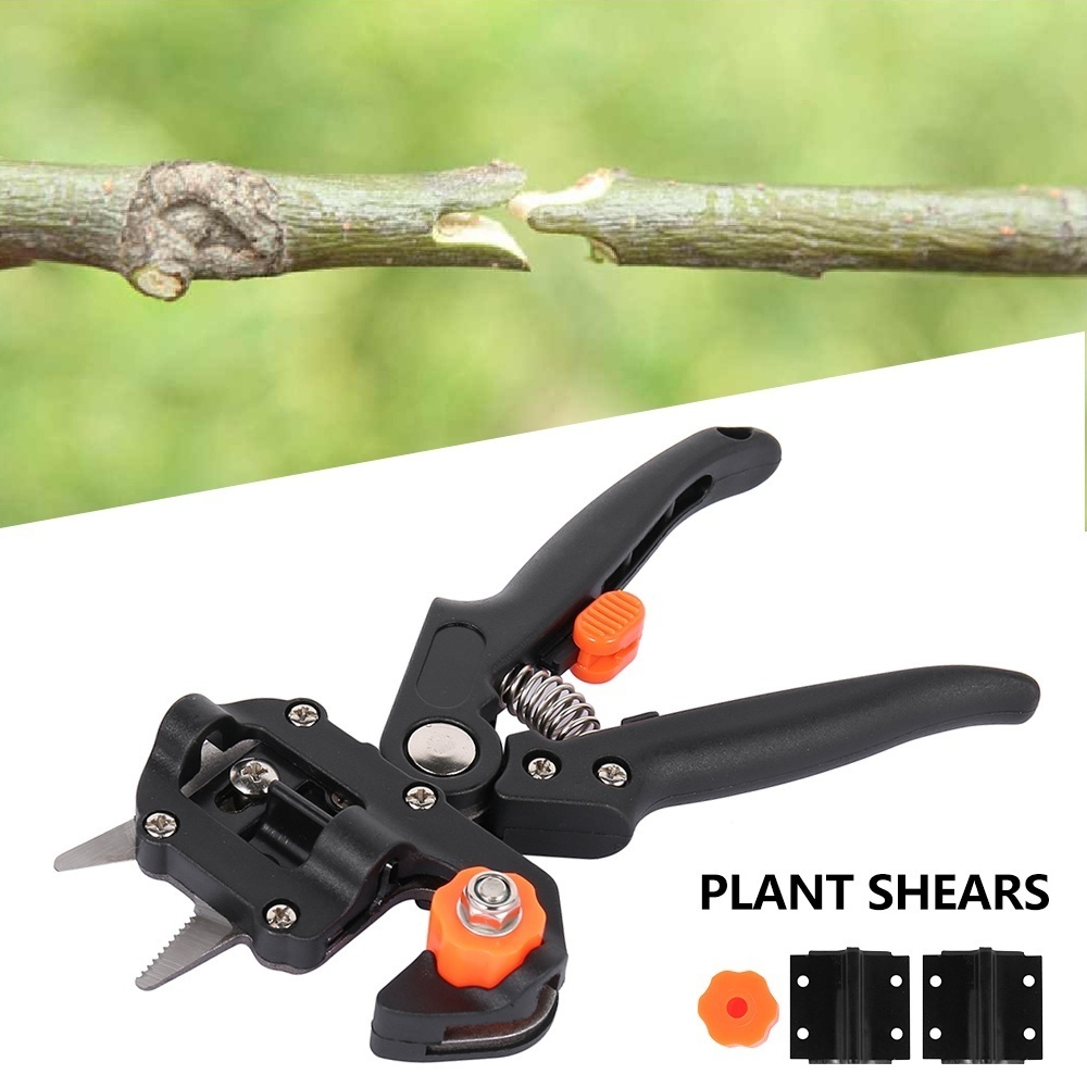 Grafting Tree Scissors 